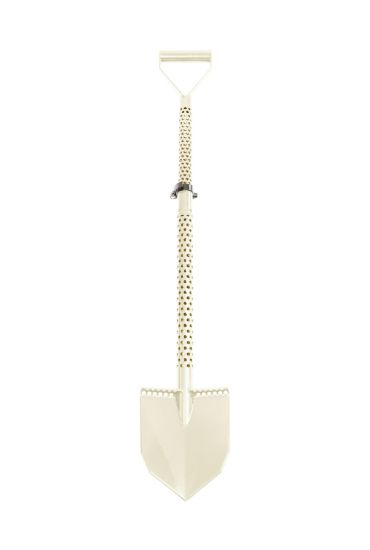 Motley Field Fox - DESERT