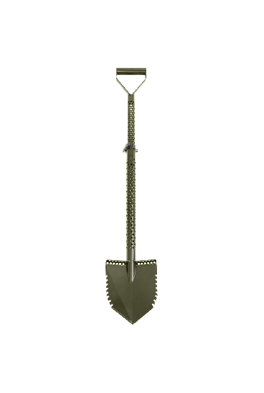 Motley Forest Fox - Green